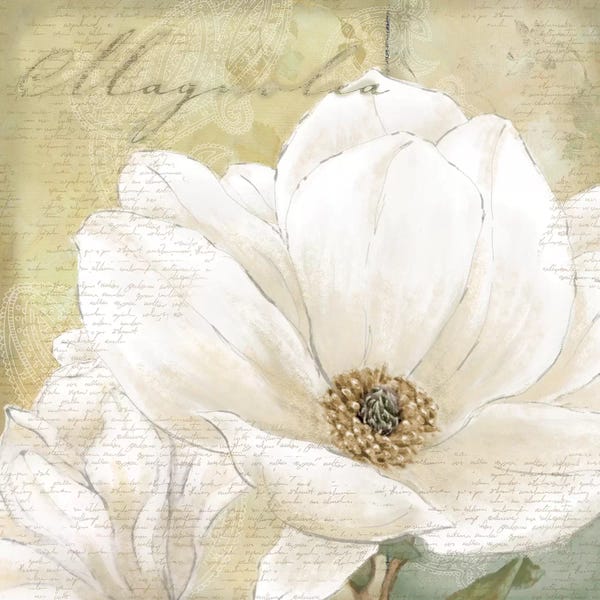 Nature Close-Ups: Aqua Magnolia I by Linda Wood