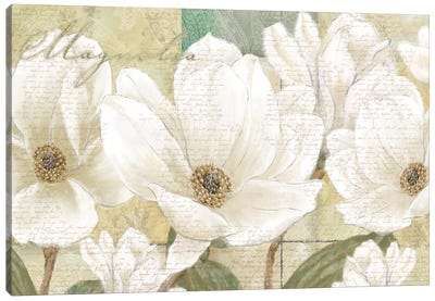Magnolia Canvas Art Print - Nature Close-Up Art