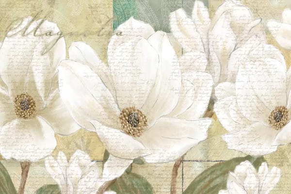 Nature Close-Ups: Magnolia by Linda Wood