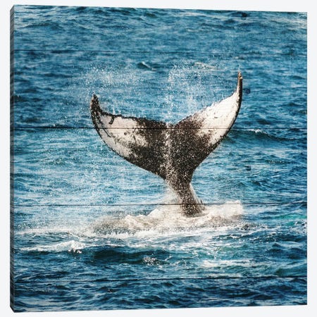 Tails Of The Whale Canvas Print #LWS5} by Sheldon Lewis Art Print