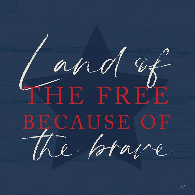 Land Of The Free II