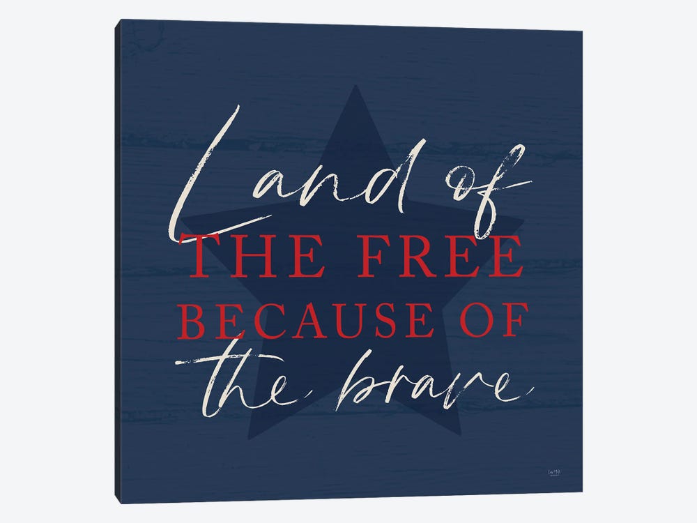 Land Of The Free II by Lux + Me Designs 1-piece Canvas Artwork