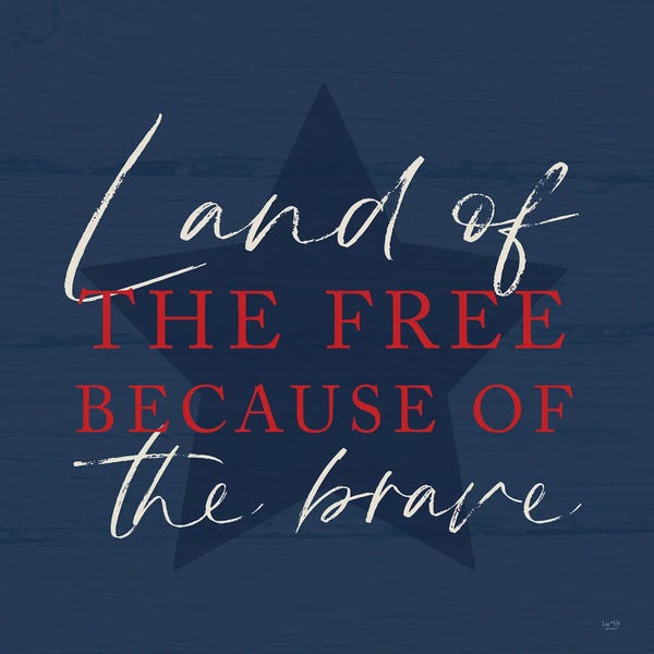 American Décor: Land Of The Free II by Lux + Me Designs