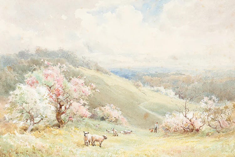 Spring Day by Lux + Me Prints canvas print
