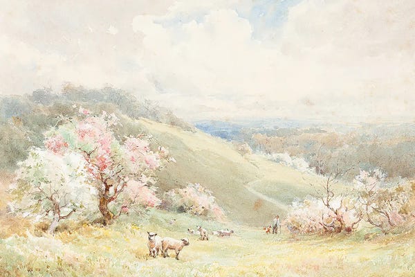 Spring Day