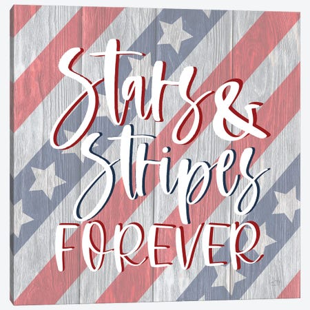 Stars And Stripes Forever I Canvas Print #LXM66} by Lux + Me Designs Canvas Art