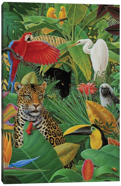 Jungle Story Canvas Art Print - Toucan Art