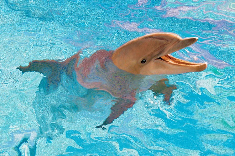 Laughing Dolphin