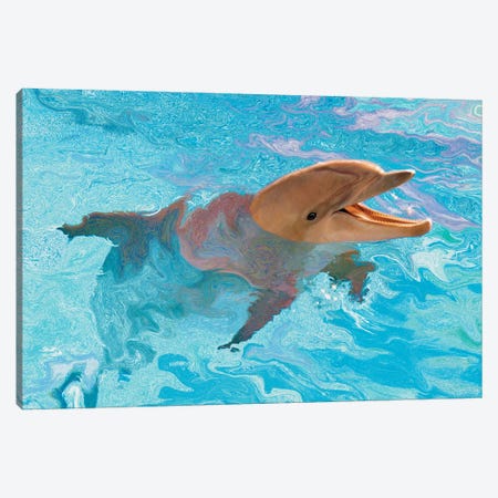 Laughing Dolphin Canvas Print #LYB16} by Charles Lynn Bragg Canvas Art Print