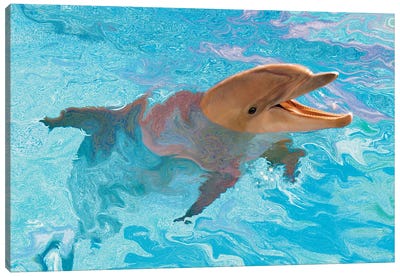 Laughing Dolphin Canvas Art Print - Dolphin Art
