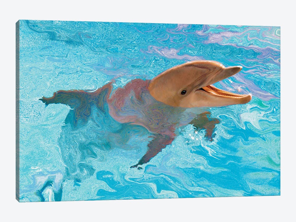 Laughing Dolphin by Charles Lynn Bragg 1-piece Canvas Art Print