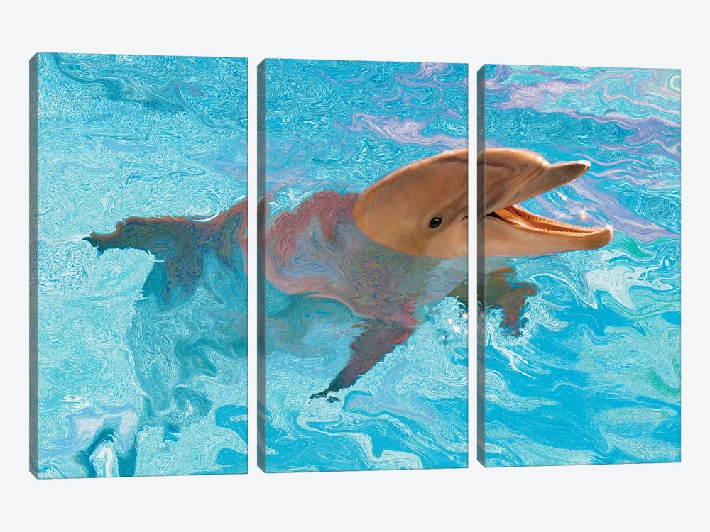 Laughing Dolphin by Charles Lynn Bragg 3-piece Canvas Art Print