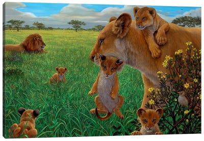 Lion Pride Canvas Art Print - Green Art