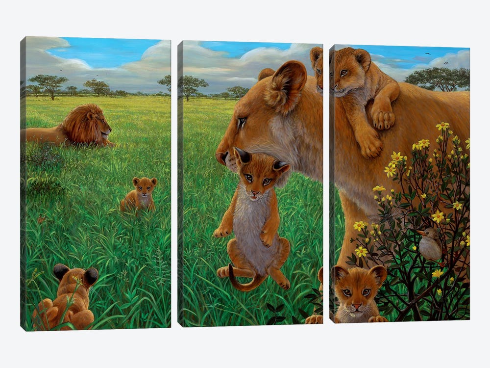 Lion Pride by Charles Lynn Bragg 3-piece Canvas Artwork