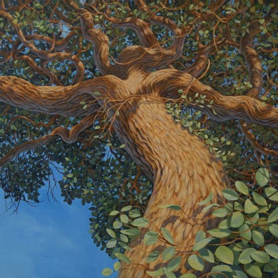 Mother Tree by Charles Lynn Bragg framed canvas print