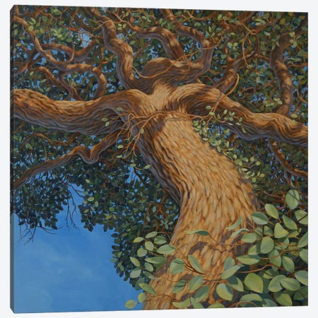 Mother Tree Canvas Print #LYB18} by Charles Lynn Bragg Canvas Wall Art