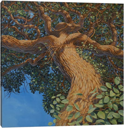 Mother Tree Canvas Art Print - Charles Lynn Bragg