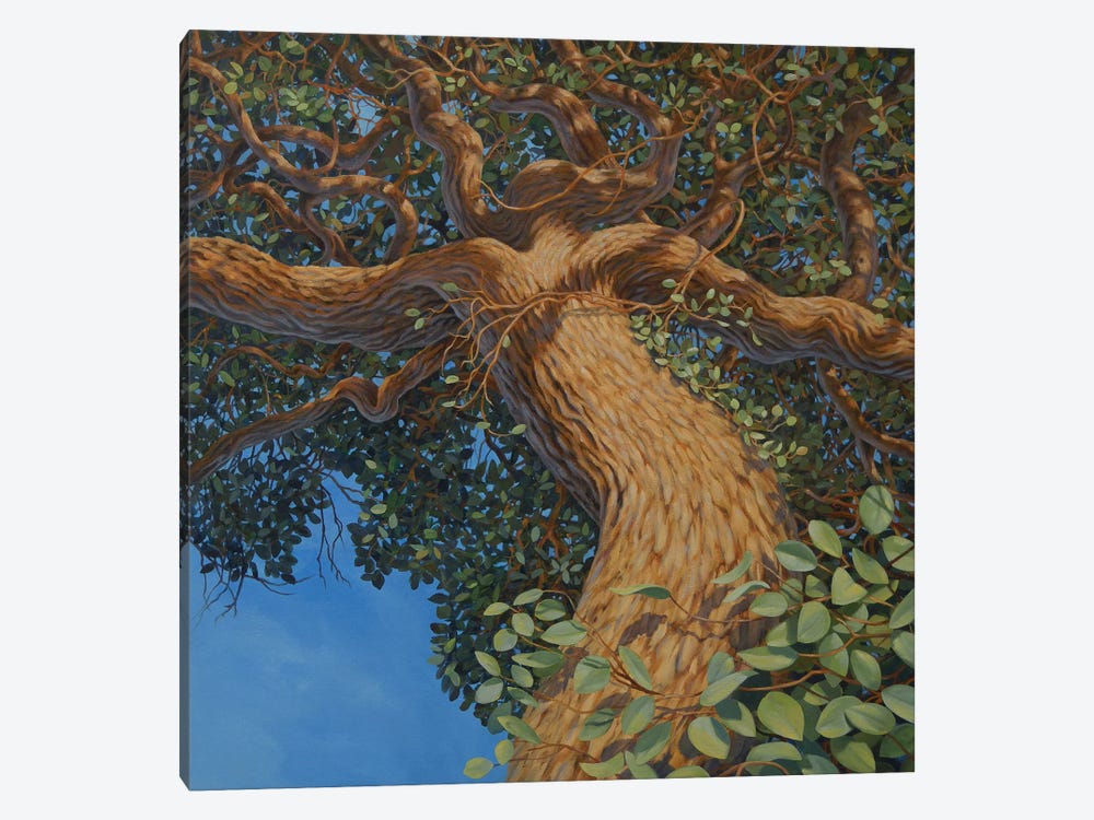 Mother Tree by Charles Lynn Bragg 1-piece Canvas Art Print