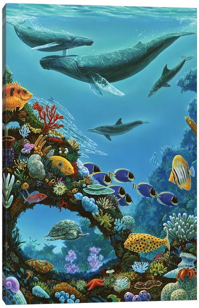 Beauty And The Reef Canvas Art Print - Reptile & Amphibian Art