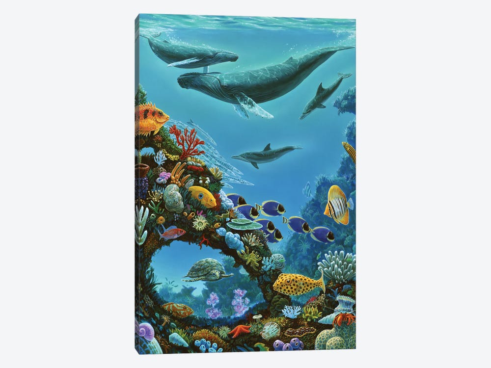 Beauty And The Reef by Charles Lynn Bragg 1-piece Canvas Art