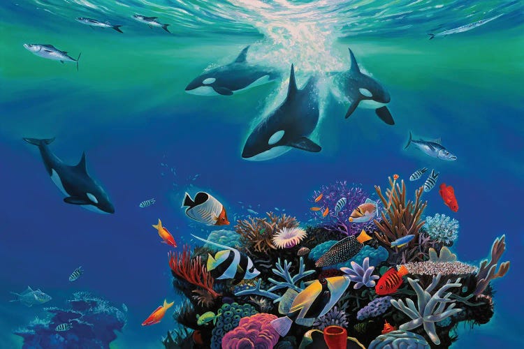 Orca Blues by Charles Lynn Bragg wall art