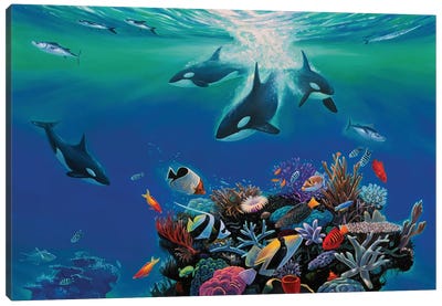 Orca Blues Canvas Art Print - Coral Art