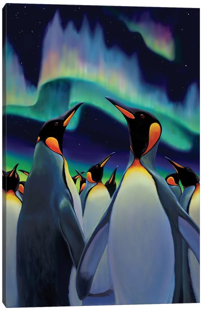 Penguin Light Parade Canvas Art Print - Aurora Borealis Art
