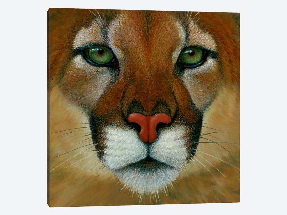 Puma Face by Charles Lynn Bragg 1-piece Canvas Artwork