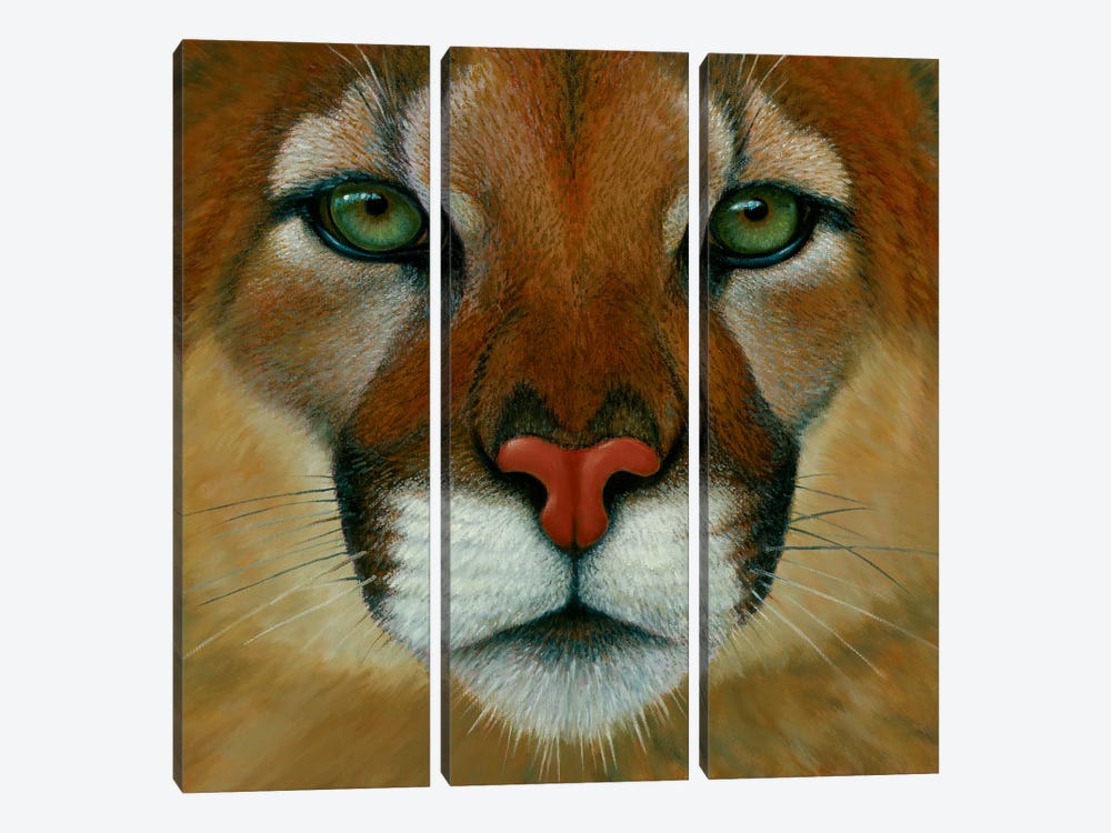Puma Face by Charles Lynn Bragg 3-piece Canvas Art