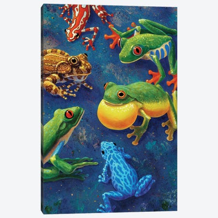 Six Frogs Canvas Print #LYB24} by Charles Lynn Bragg Canvas Artwork