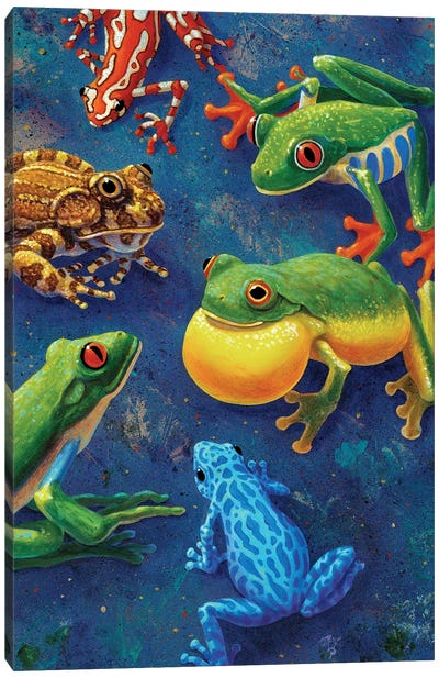 Six Frogs Canvas Art Print - Frog Art