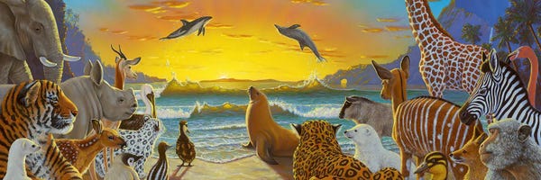 Seals & Sea Lions