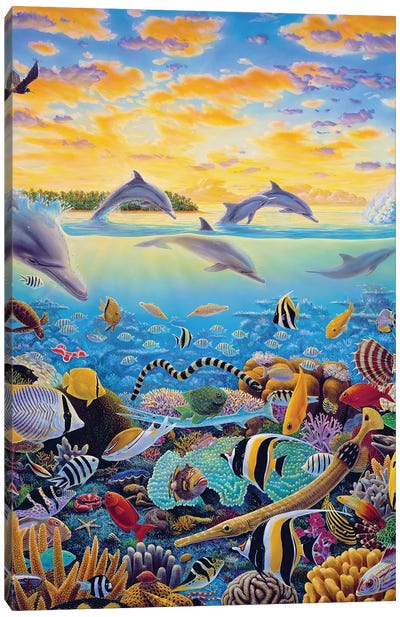 Tales Of Tavarua Canvas Art Print - Dolphin Art