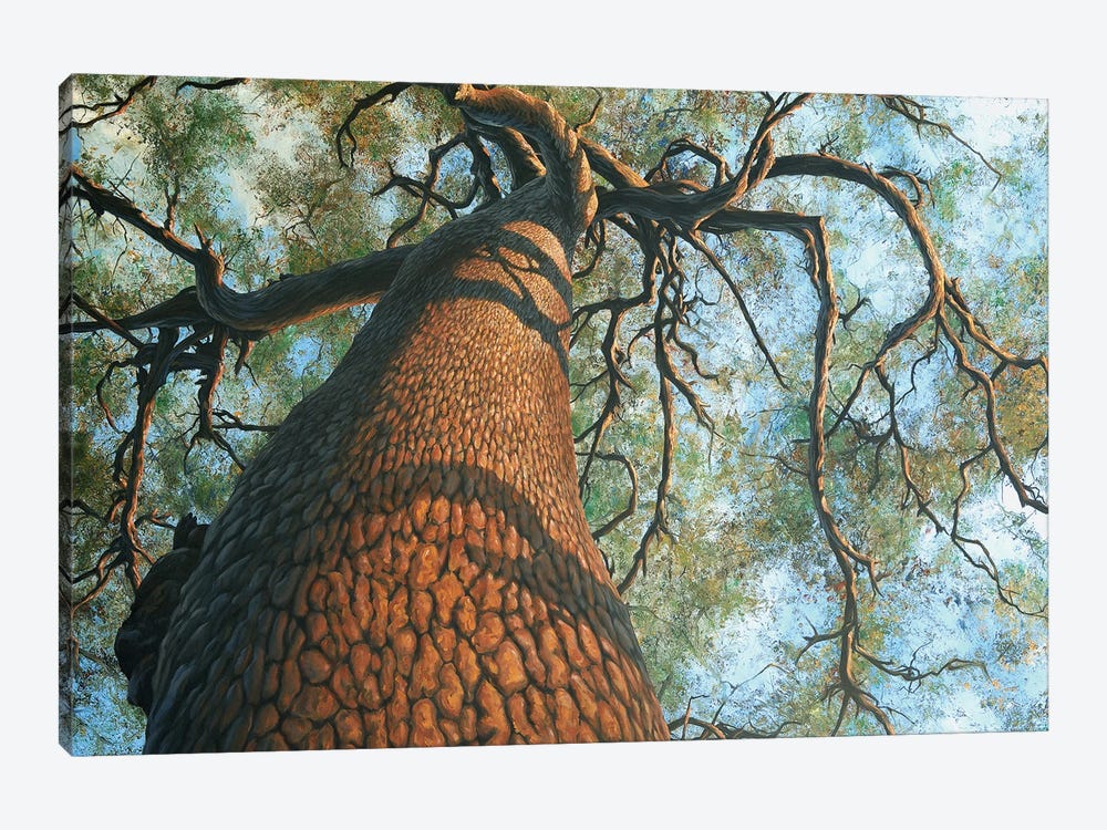 The Big Tree by Charles Lynn Bragg 1-piece Canvas Art Print