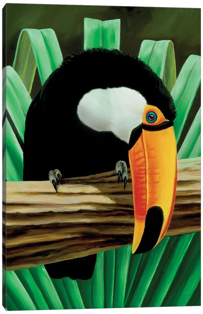 Toucan Lookout Canvas Art Print - Toucan Art