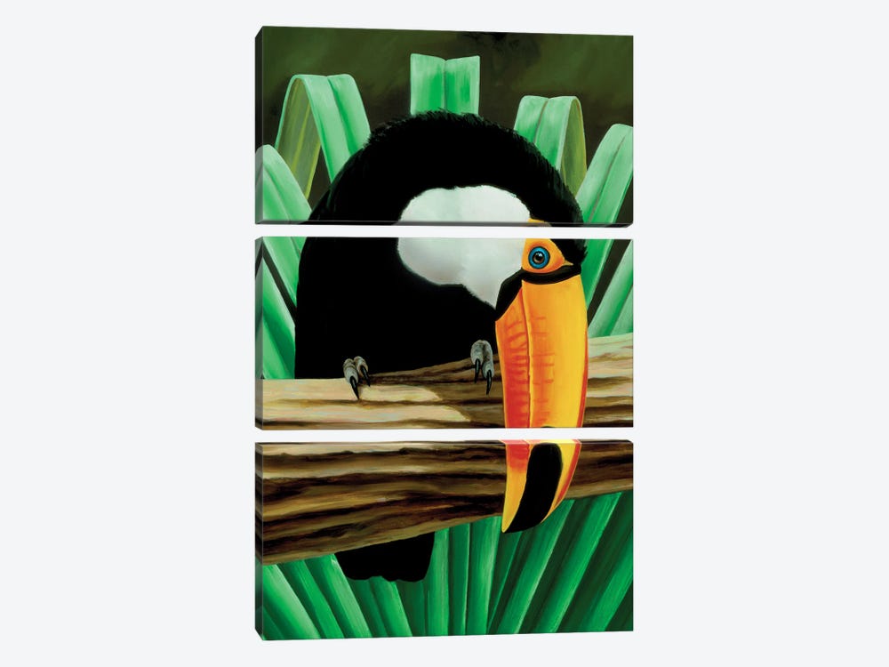 Toucan Lookout by Charles Lynn Bragg 3-piece Canvas Art