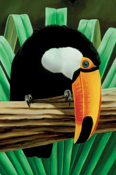 Charles Lynn Bragg: Toucan Lookout by Charles Lynn Bragg