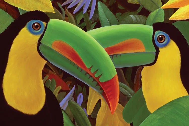 Toucan Twins by Charles Lynn Bragg wall art