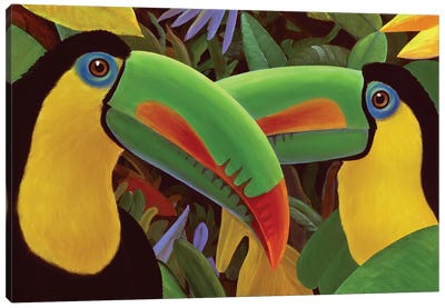 Toucan Twins Canvas Art Print - Toucan Art