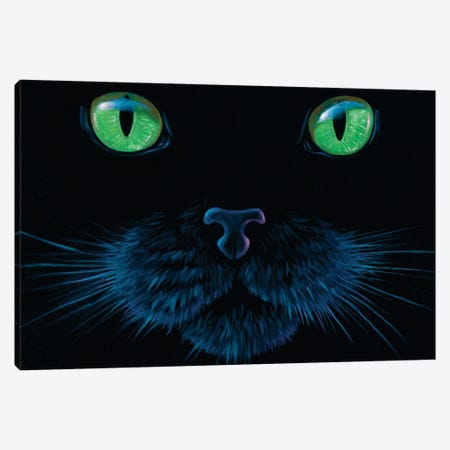 Black Cat Face Canvas Print #LYB3} by Charles Lynn Bragg Canvas Art