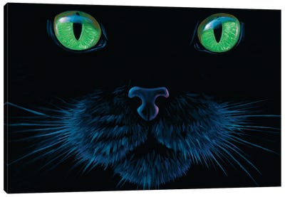 Black Cat Face Canvas Art Print - Charles Lynn Bragg