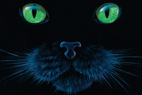 Charles Lynn Bragg: Black Cat Face by Charles Lynn Bragg