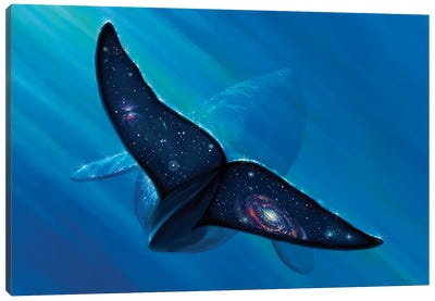 Whale Tail Galaxy Canvas Art Print