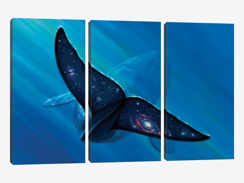 Whale Tail Galaxy by Charles Lynn Bragg 3-piece Canvas Print