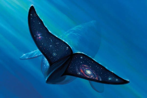 Charles Lynn Bragg: Whale Tail Galaxy by Charles Lynn Bragg