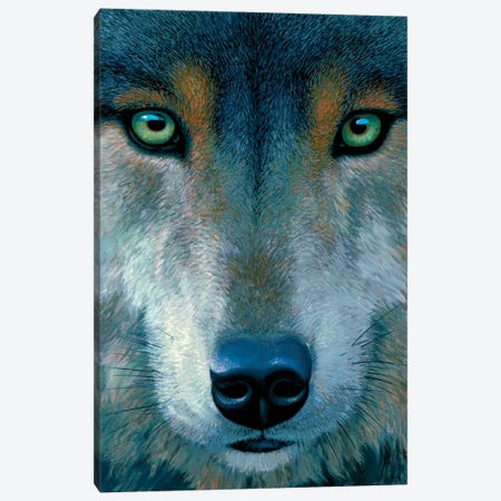 Wolf Face Canvas Print #LYB42} by Charles Lynn Bragg Canvas Print