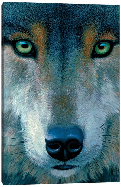 Wolf Face Canvas Art Print - Charles Lynn Bragg