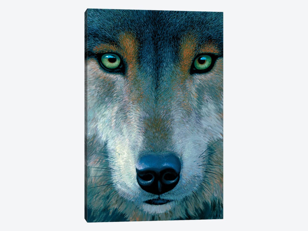 Wolf Face by Charles Lynn Bragg 1-piece Canvas Artwork