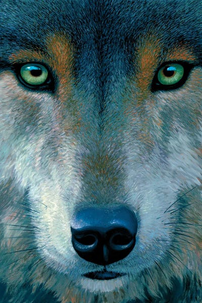 Charles Lynn Bragg: Wolf Face by Charles Lynn Bragg