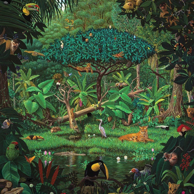 Secrets Of The Rainforest by Charles Lynn Bragg wall art